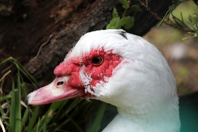 验值得火箭 验值得火箭