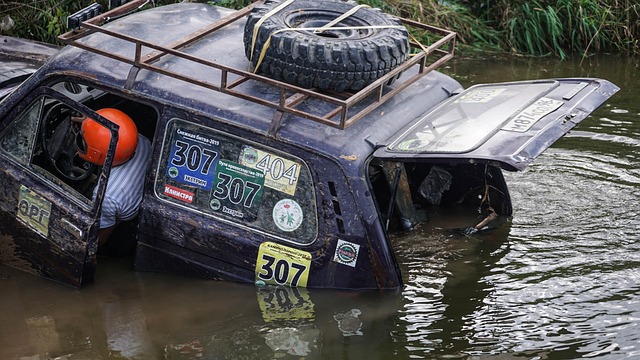 从法律角度 从法律角度