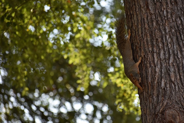 独特文化和 独特文化和