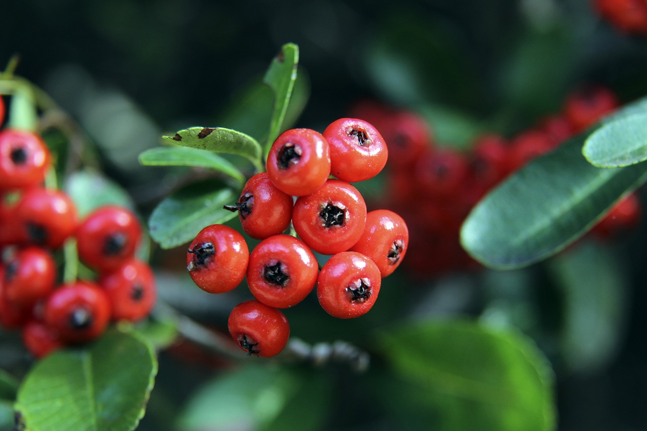 的表现打破 的表现打破