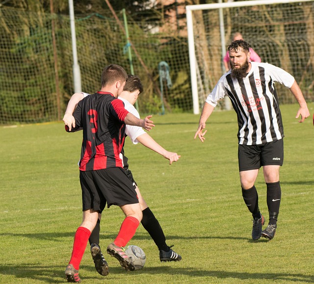 西安欧亚学 西安欧亚学