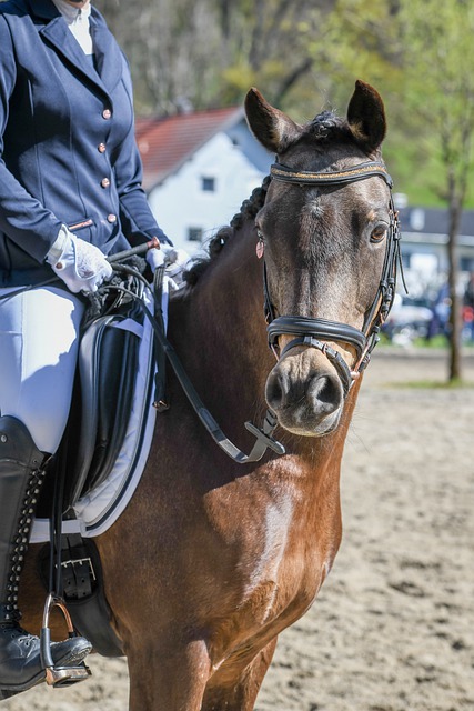 爱凌的新闻 爱凌的新闻