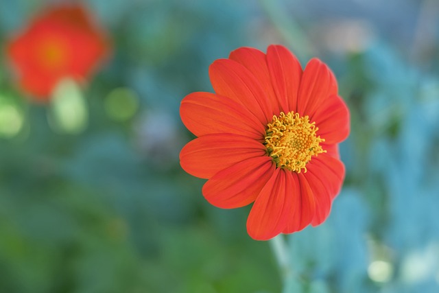 识与急救知 识与急救知